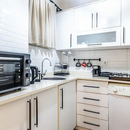 Spacious And Stylish Flat Near Taksim In Sisli イスタンブール