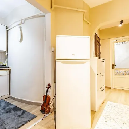 Spacious And Stylish Flat Near Taksim In Sisli アパート *